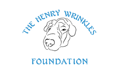 click here to explore The Henry Wrinkles Foundation